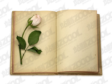 ローズや罰金絵本