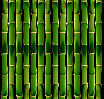 グリーン竹背景画像素材 2 無料素材イラスト ベクターのフリーデザイナー