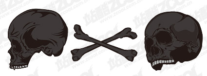 頭蓋骨のテーマ