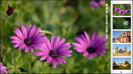 広告画像フラッシュ + xml ソース材料のフォーカス