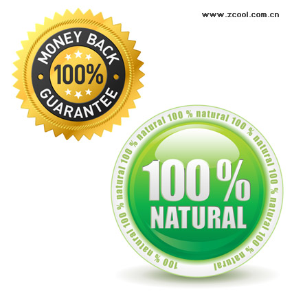 2 つのラジオ ボタンのベクター素材