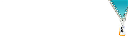 Flash ジッパー アップ広告