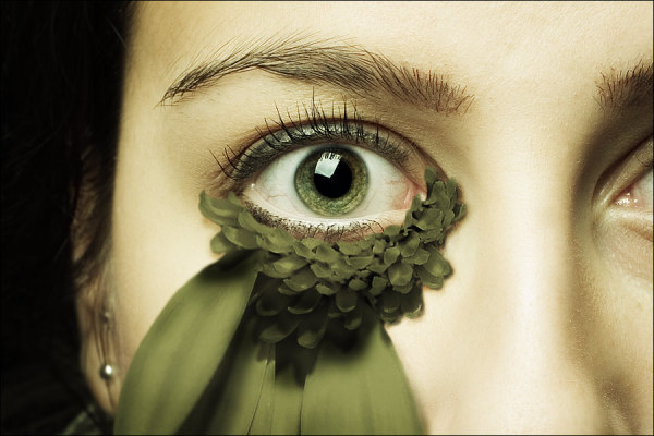 ロシアの卓越した写真 （1） の鑑賞