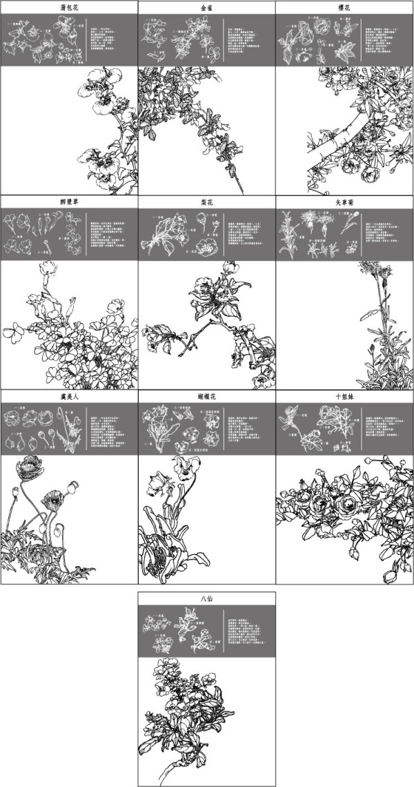 蝶の花、ケシ、ヤグルマギク、梨、桜の花