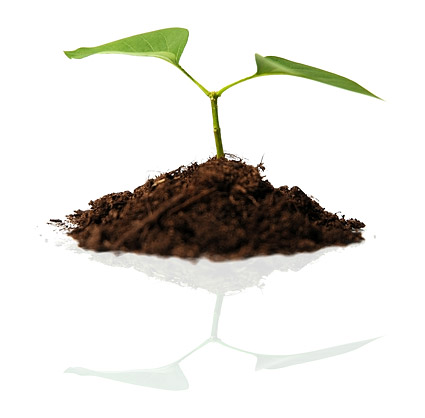土壌と植物の素材写真 無料素材イラスト ベクターのフリーデザイナー