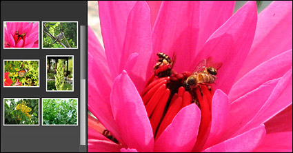 フラッシュ + xml アルバム実用的なソース