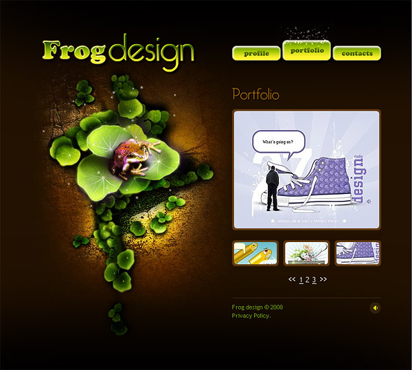 排他的なデザイナー全体のフラッシュのテンプレート