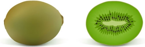 リアルなフルーツ 02 ベクター無料ベクター 1.78 MB