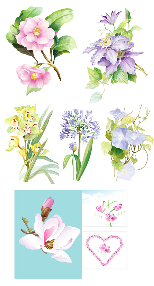7 のエレガントな水彩画の花のベクター素材
