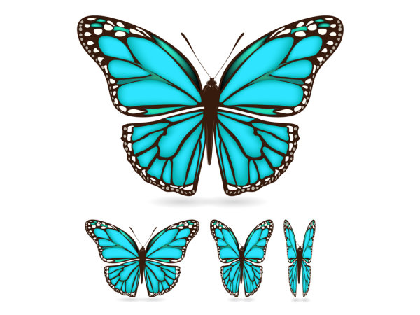 美しい蝶素材 03 - ベクトルします。