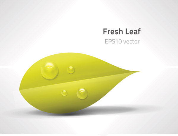 緑の葉のベクター素材