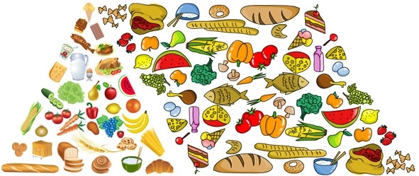 食品ピラミッド ベクター無料ベクター 2.39 MB