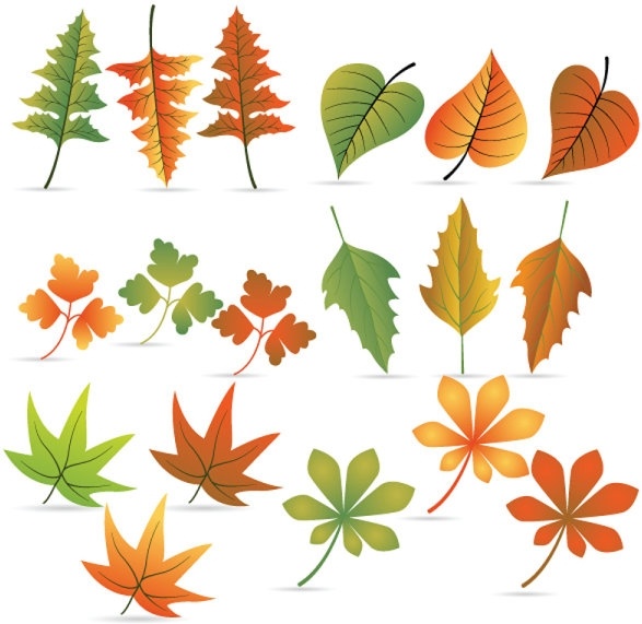 葉 04 ベクター無料ベクター 536.21 KB