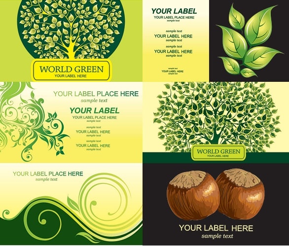 新鮮なカード テンプレート ベクター無料ベクター 2.56 MB