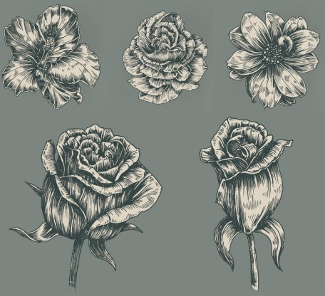 プロジェクターの Vista のアイコン - 無料のアイコン