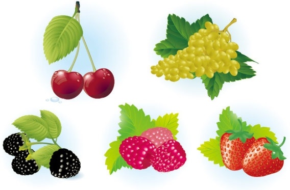 フルーツ ベクター無料ベクター 1.18 MB