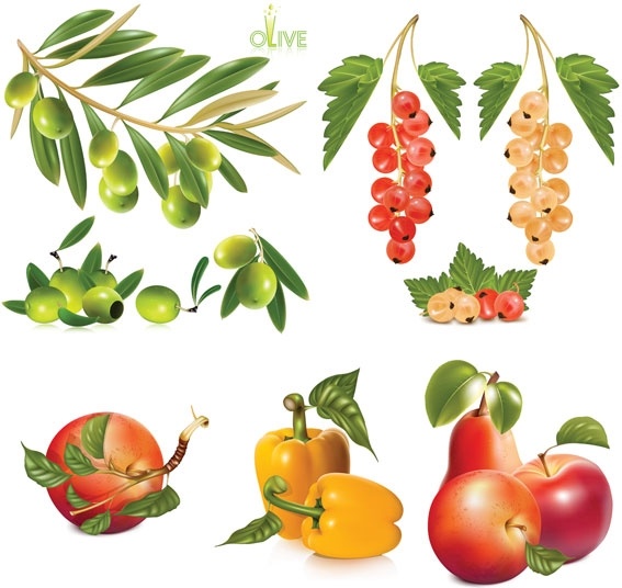いくつかフルーツ ベクター無料ベクター 21.13 MB